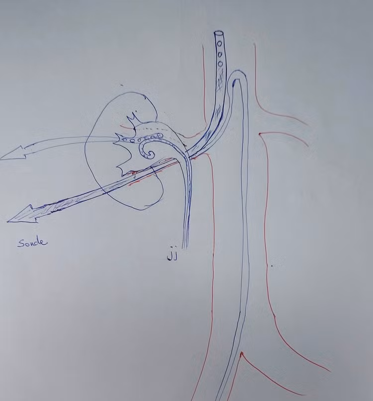 Hình số 2. Hình số 2.