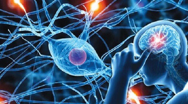 Địa chỉ vàng: Thực phẩm chức năng hỗ trợ hệ thần kinh ảnh 1