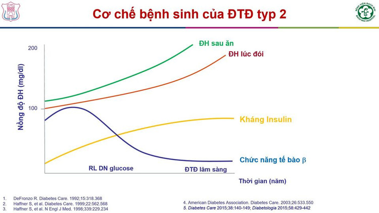 Cơ chế gây bệnh đái tháo đường typ 2
