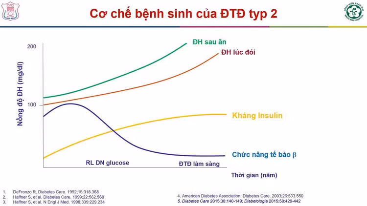 Cơ chế gây bệnh đái tháo đường typ 2