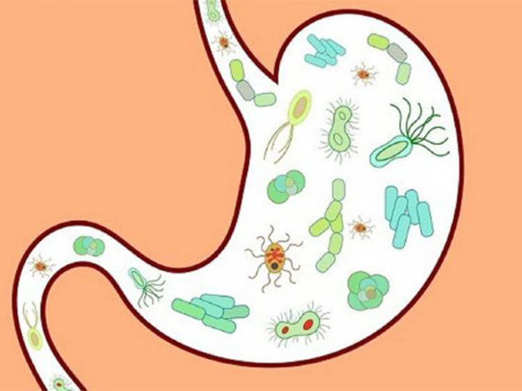 Mách mẹ cách phòng ngừa rối loạn tiêu hóa cho trẻ trong dịp Tết