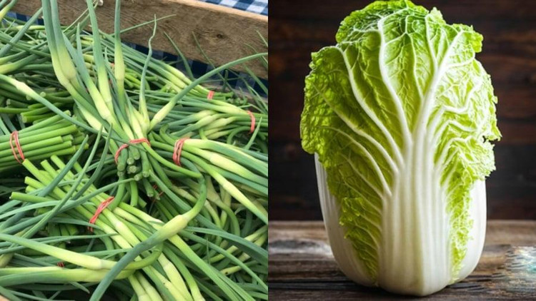 Cải thảo và ngồng tỏi là loại rau dễ bị ngâm formaldehyde - Ảnh minh hoạ