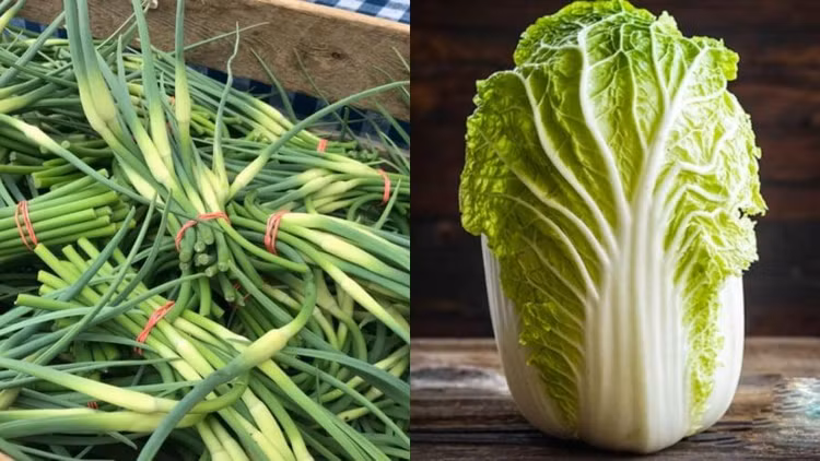 Cải thảo và ngồng tỏi là loại rau dễ bị ngâm formaldehyde - Ảnh minh hoạ