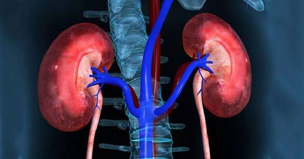 Tổn thương thận cấp - Ảnh minh họa Tổn thương thận cấp - Ảnh minh họa