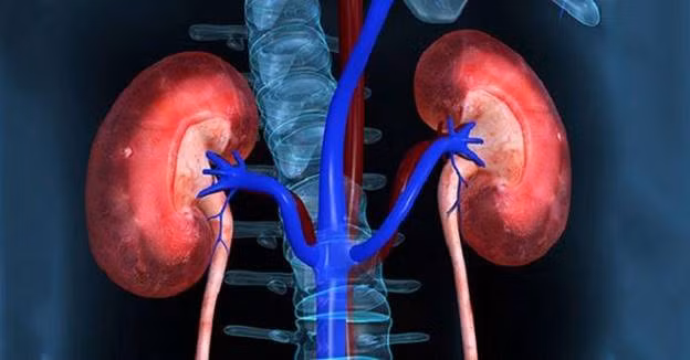 Tổn thương thận cấp - Ảnh minh họa