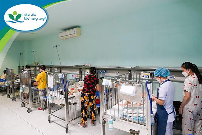 Bệnh nhi nhiễm Adenovirus nhập viện được phân theo nhóm bệnh