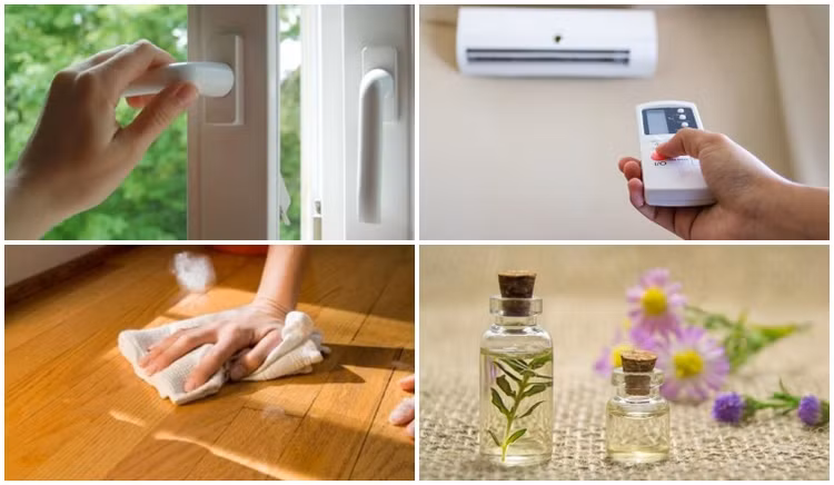 Những cách đơn giản chống nồm ẩm trong nhà ảnh 1 Những cách đơn giản chống nồm ẩm trong nhà ảnh 1