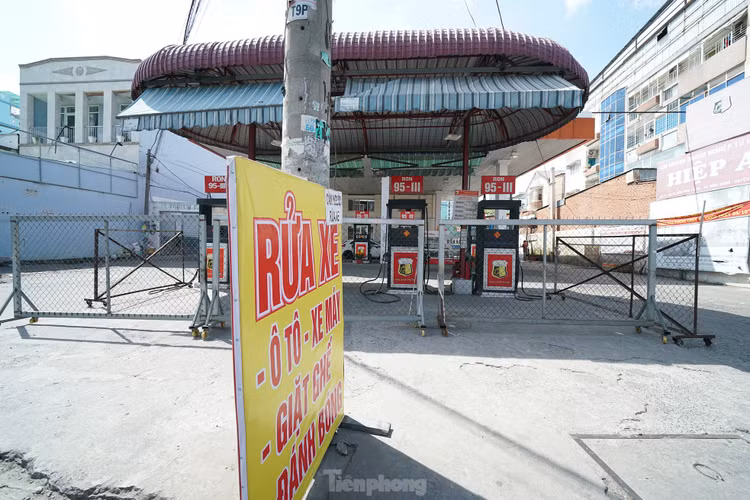 Nguoi dan TPHCM bat ngo khi nhieu cay xang than nhien... nghi Tet-Hinh-10