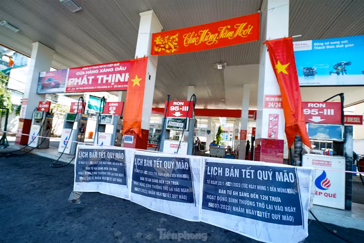 Nguoi dan TPHCM bat ngo khi nhieu cay xang than nhien... nghi Tet-Hinh-8