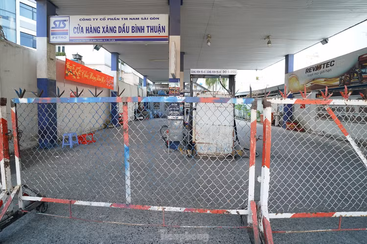 Nguoi dan TPHCM bat ngo khi nhieu cay xang than nhien... nghi Tet-Hinh-3