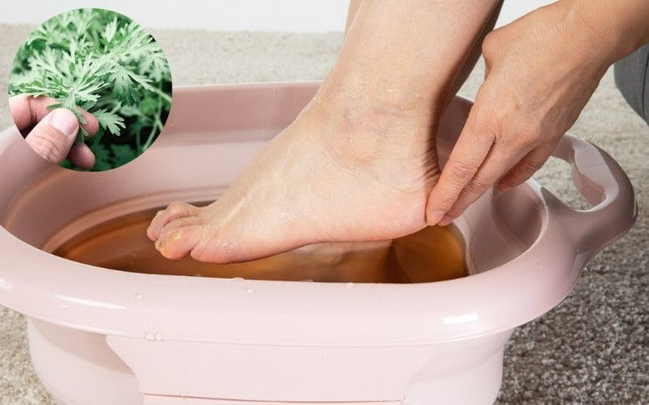 Lá ngải cứu tươi có thể ngâm trong nước nóng và dùng nước này để ngâm các khớp bị đau - ảnh minh họa