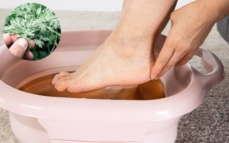 Lá ngải cứu tươi có thể ngâm trong nước nóng và dùng nước này để ngâm các khớp bị đau - ảnh minh họa