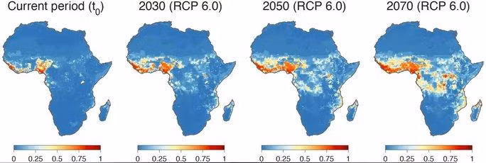 Bản đồ phân bố của sốt xuất huyết Lassa chết người cho thấy sự lan rộng rất nhanh trong tương lai - Ảnh: SCITECH DAILY