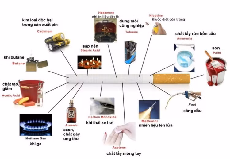 Một số thành phần chất độc có trong thuốc lá - Ảnh minh họa