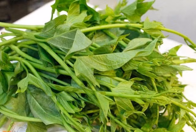 Rau khoai lang nhiều dưỡng chất và vitamin dồi dào - Ảnh minh hoạ Rau khoai lang nhiều dưỡng chất và vitamin dồi dào - Ảnh minh hoạ