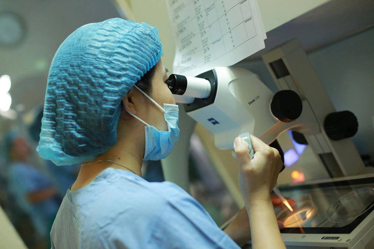 Mùa xuân là thời điểm tốt để thụ tinh ống nghiệm - Ảnh minh họa