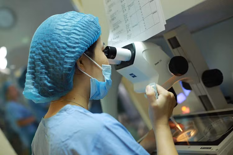 Mùa xuân là thời điểm tốt để thụ tinh ống nghiệm - Ảnh minh họa
