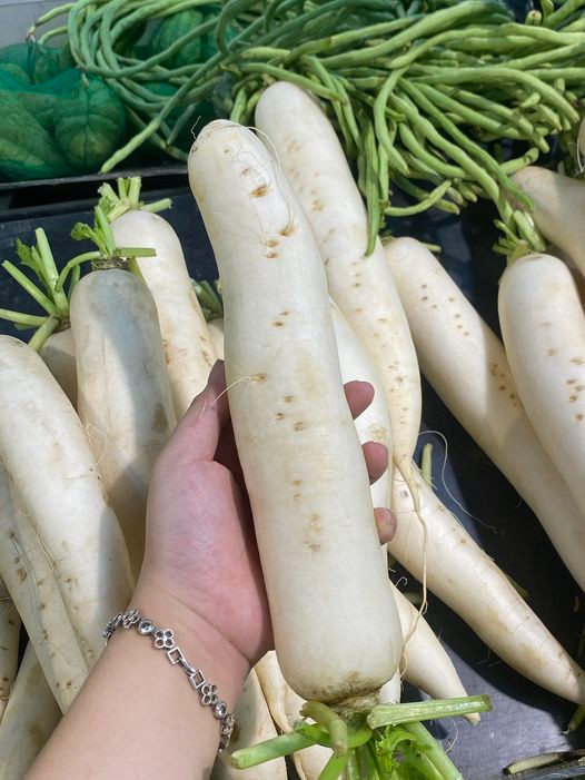 Củ cải rất tốt cho sức khỏe khi ăn hàng ngày - Ảnh BSCC