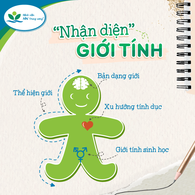 Cách xác định giới tính để biết lưỡng giới thật và lưỡng giới giả