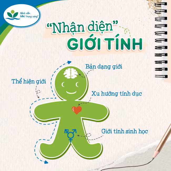 Cách xác định giới tính để biết lưỡng giới thật và lưỡng giới giả