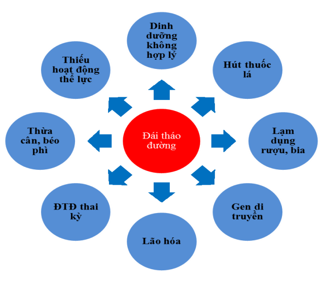 Yếu tố nguy cơ của đái tháo đường type 2 - Ảnh BSCC
