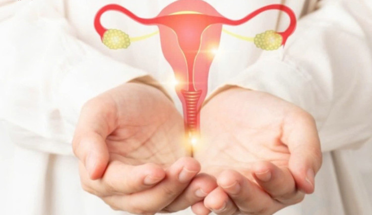 Dấu hiệu ung thư buồng trứng không nên bỏ qua - Ảnh minh họa BVCC