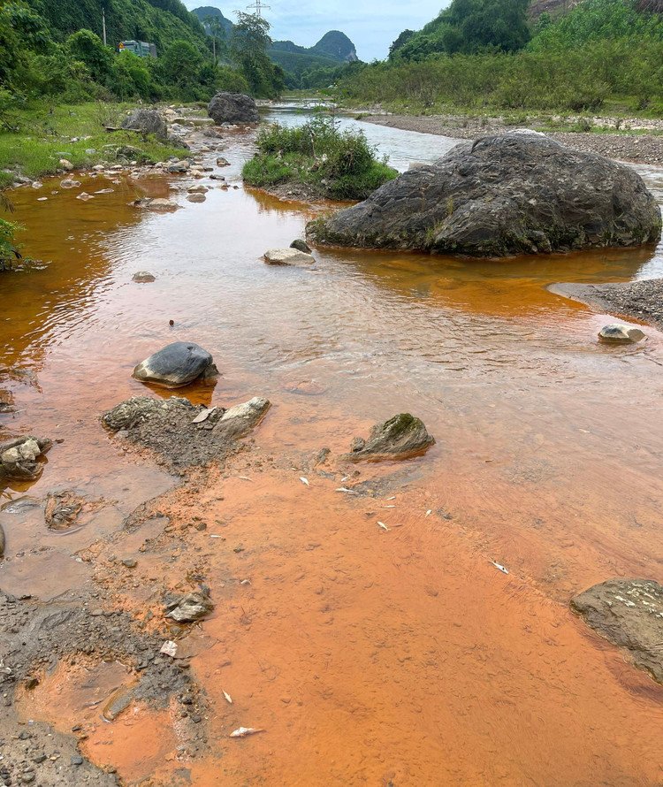 Tại khu vực suối Nậm Huống, bản Cải, xã Châu Thành, huyện Quỳ Hợp (Nghệ An), nước chuyển sang màu đục, cá chết bất thường…, khiến người dân lo lắng.