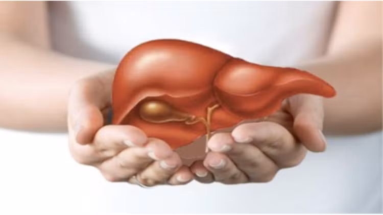 Cần biết cách bảo vệ gan cho cơ thể khỏe mạnh - Ảnh minh họa