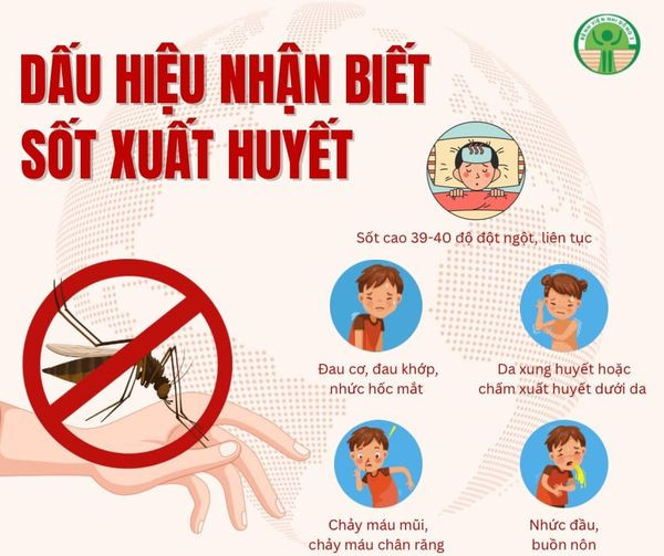 Dấu hiệu sốt xuất huyết cần đến viện ngay ảnh 1