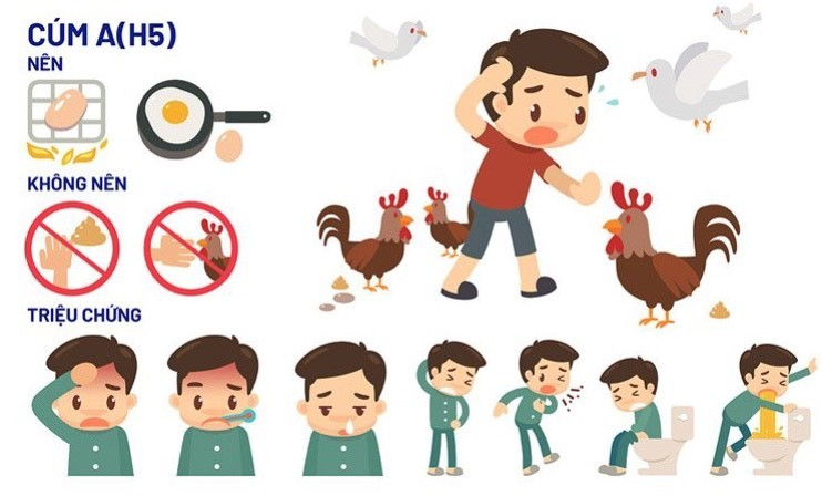 Các triệu chứng nhận biết cúm A (H5) ở người như sốt cao liên tục, đau đầu, đau cơ, mệt mỏi, đau họng và ho khan. Ảnh:VNVC