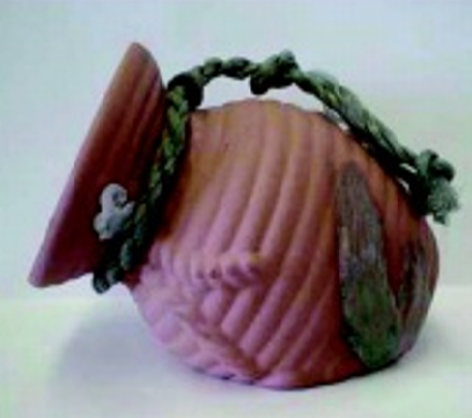 C: Hình giỏ Takotsubo với đáy tròn cổ hẹp tại Nhật Bản - Ảnh BVCC