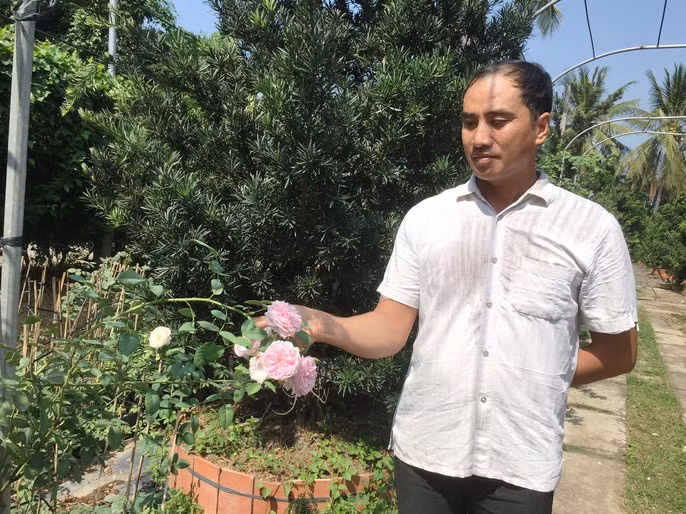 Du Xuân ngắm vườn hoa hồng lớn nhất miền Tây - Ảnh 4.