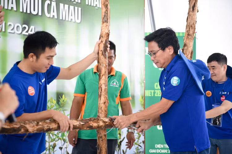 Ông Lê Hoàng Minh thực hiện mẫu thao tác buộc thép các cọc cừ tràm để làm hàng rào khoanh nuôi.