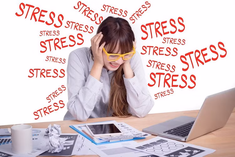 Bí quyết đối phó stress khi… làm lãnh đạo - Ảnh minh hoạ