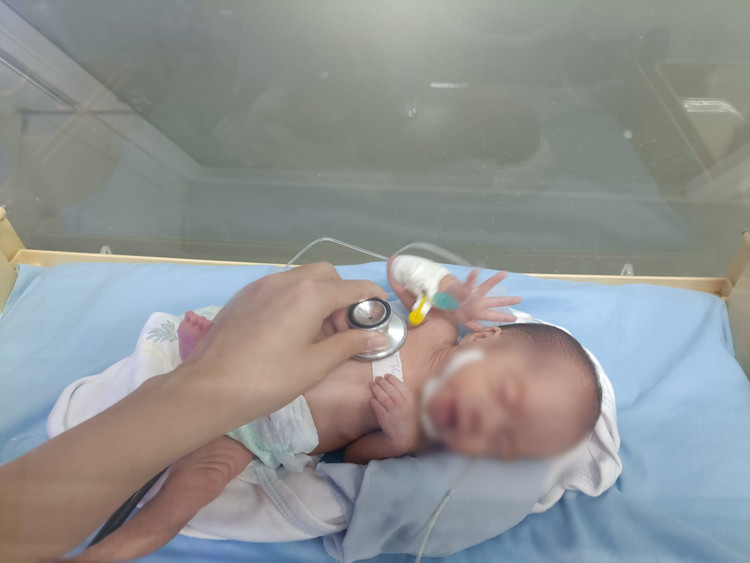 Bê 1,5 kg đã qua cơn nguy kịch