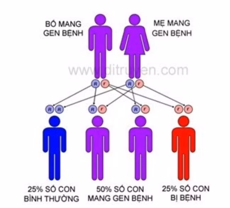 Ảnh hưởng của gen di truyền tới sinh con bị bệnh