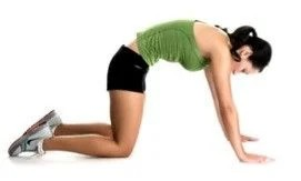 Tư thế kiểu con mèo