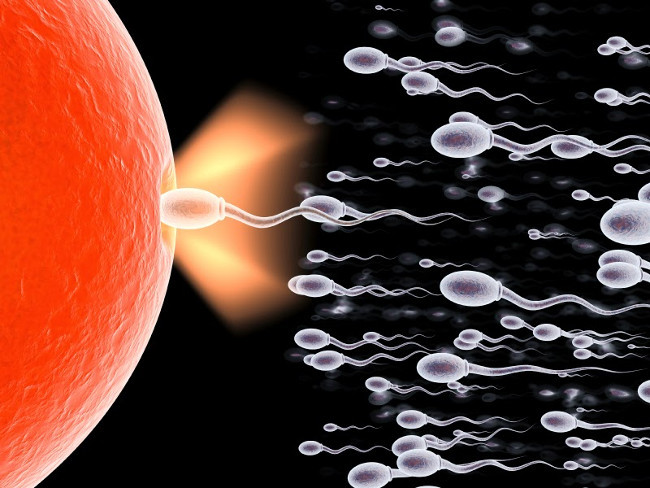 Stress gây ảnh hưởng đến chất lượng tinh trùng - Ảnh minh họa