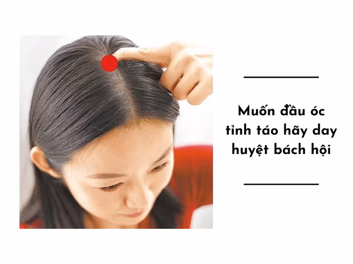 Vị trí huyệt Bách hội