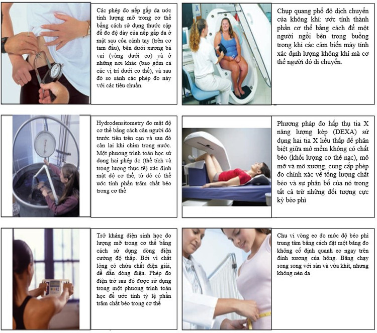 Các cách đo đánh giá lượng mỡ trong cơ thể