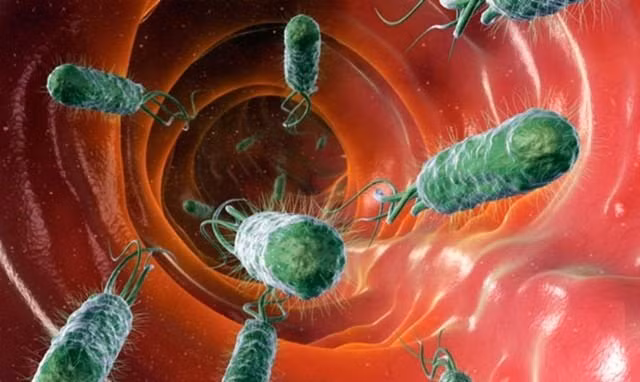 Vi khuẩn HP tấn công dạ dày