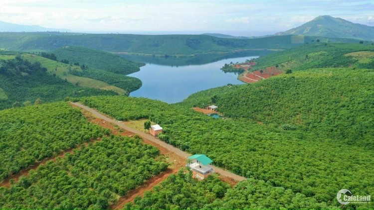 Một góc hồ Đắk Long Thượng - Ảnh: Cafeland