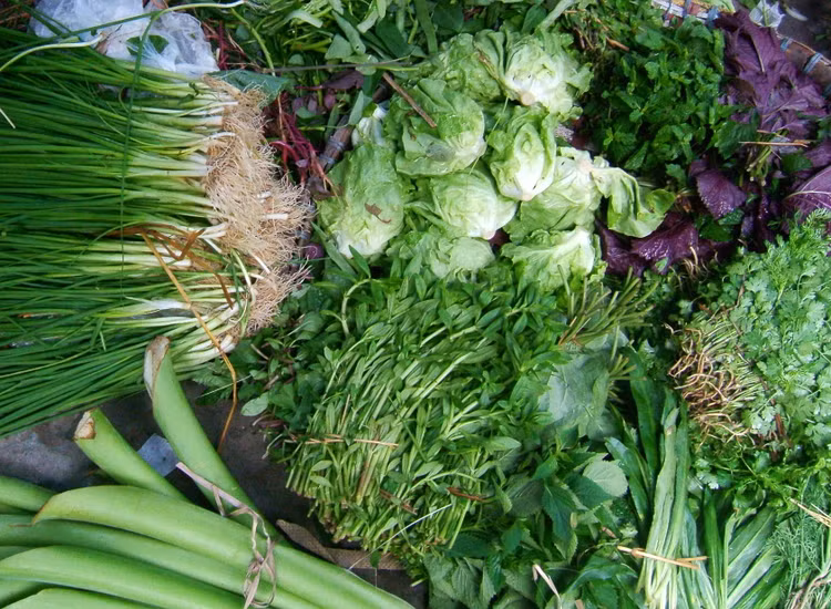 8 loại rau thơm nên ăn thường xuyên càng ăn càng khỏe - Ảnh minh họa