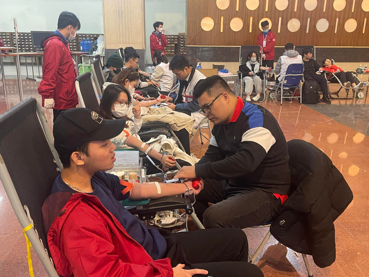 Chủ Nhật Đỏ lần thứ XVI năm 2024: Những giọt máu hồng ấm nồng Giáng sinh