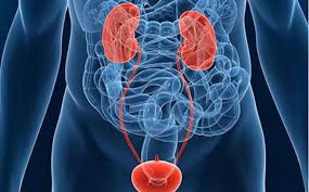 Bác sĩ chỉ rõ các yếu tố nguy cơ ung thư bàng quang - ảnh BVCC