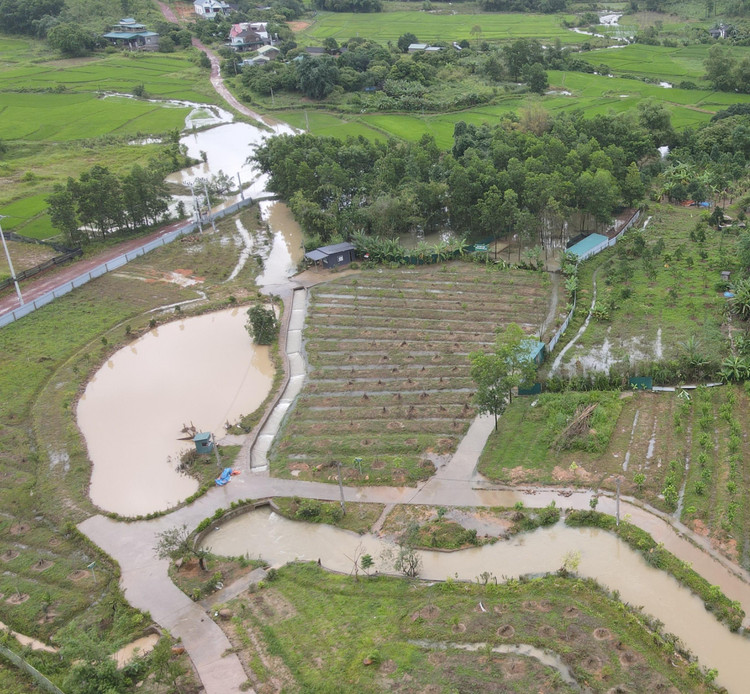 Hệ thống thoát nước của dự án trồng mơ bị thu hẹp lại nhìn trên cao.