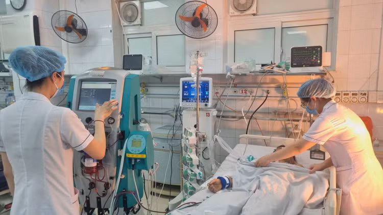 Lọc máu hấp thu độc tố người bệnh thoát khỏi "cử tử" - Ảnh BVCC