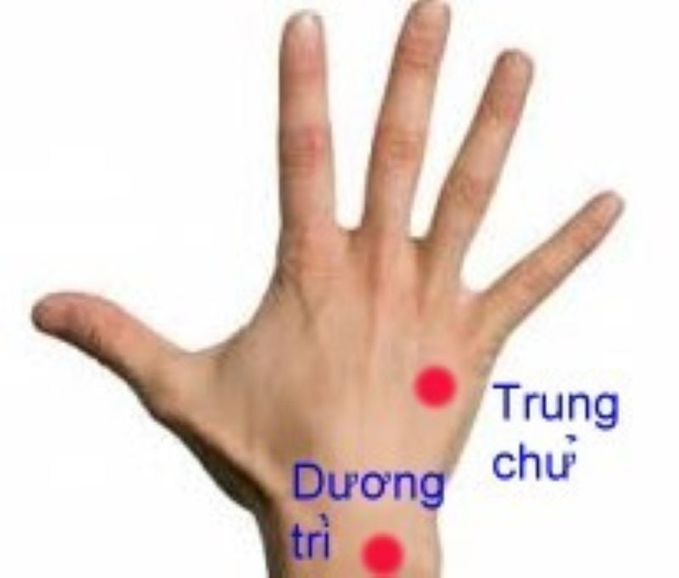 Vị trí huyệt Trung Chử, Dương Trì - Ảnh BSCC