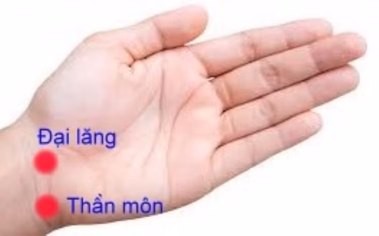 Vị trí huyệt Đại lăng, Thần môn - Ảnh BSCC