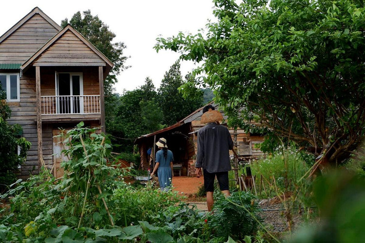 ôm mộng tạo dựng một cuộc sống thanh bình, sống chậm, sống ung dung tự tại như thơ giữa núi rừng song nhiều người nhanh chóng nhận ra “đời không như là mơ”